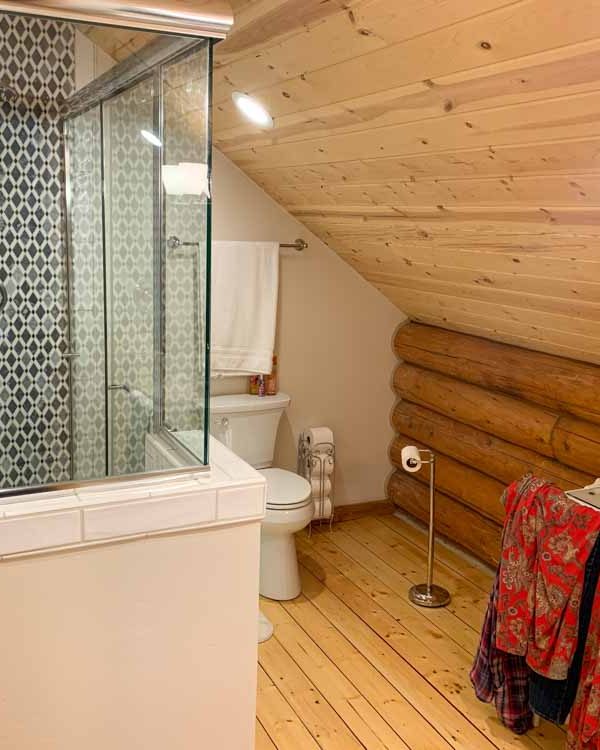 cabin bathroom toilet witha glass shower enclosure